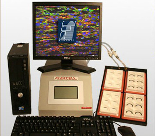 三維機(jī)械力刺激立體水凝膠支架培養(yǎng)系統(tǒng)