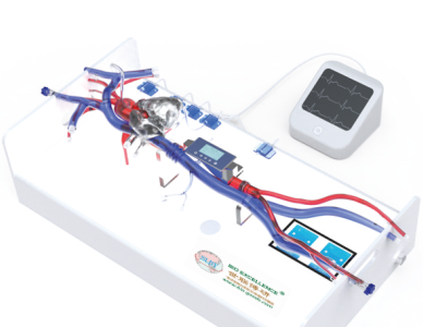 醫(yī)學(xué)仿真模擬裝置