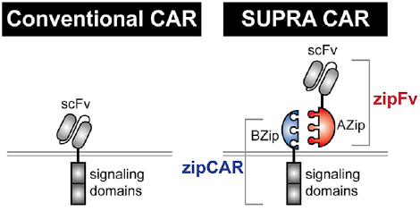 超級CAR來了，看看它是怎么設計的