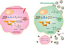 1512469991630633.jpeg 下載.jpg