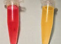 1517890819371331.jpeg dafg.jpg