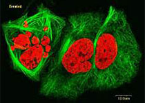 1519378610851911.jpeg agafdhytu.jpg