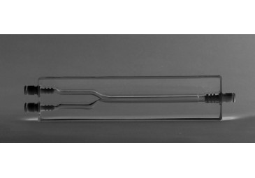 頸動(dòng)脈分叉家族